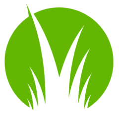 BestTurf Projekt